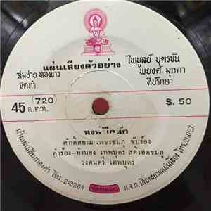 ศักดิ์สยาม เพชรชมภู / เทพพร เพชรอุบล - หงษ์ปีกหัก / คิดฮอดอ้ายแหน่เด้อ download free