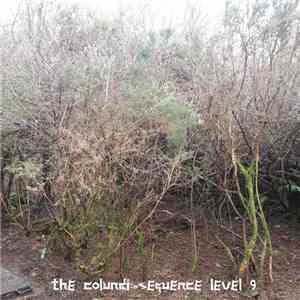 Aleksi Perälä - The Colundi Sequence Level 9 download free