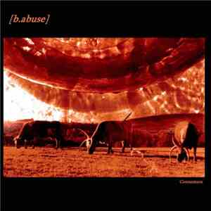 B.Abuse - Connemara download free