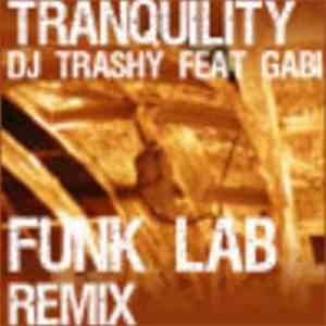 DJ Trashy Feat Gabi - Tranquility (Funk Lab Remix) download free