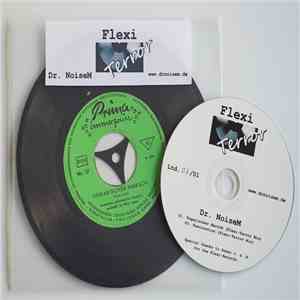 Dr. NoiseM - Flexi TError 13 download free Dr. NoiseM - Flexi TError 13 download mp3 flac