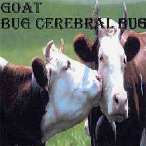 Goat / Bug Cerebral Bug - Split download free