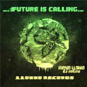 Maydo Llokko & DJ MeEma - Future Is Calling download mp3 flac