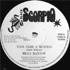 Mega Banton / Terry Ganzie & Mickey Singh - Your Name A Mention / Down Inna Yard download free
