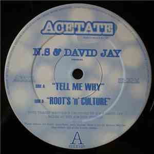 N.S & David Jay - Tell Me Why download free