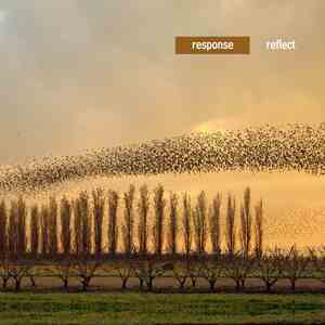 Response  - Reflect download free