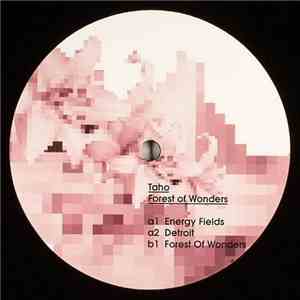 Taho - Forest Of Wonders download free