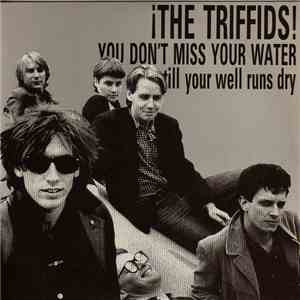 The Triffids - You Don't Miss Your Water Till Your Well Runs Dry download free The Triffids - You Don't Miss Your Water Till Your Well Runs Dry download mp3 flac