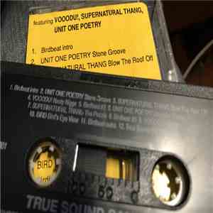 Various - True Sound Sampler download free
