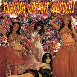 Various - Turkish One Hit Wonders download free